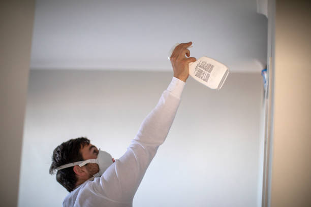 Best Black Mold Removal  in Wauwatosa, WI