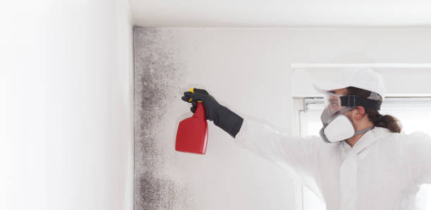 Best Crawl Space Mold Removal  in Wauwatosa, WI